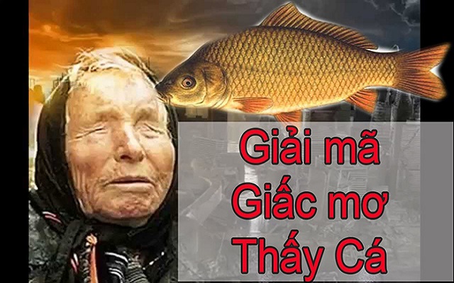 Giải mã giấc mơ thấy cá trên cạn Giải mã giấc mơ thấy cá trên cạn