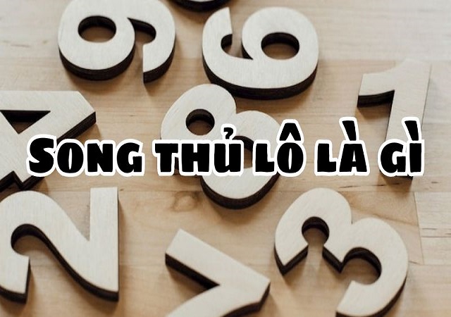 Khái niệm song thủ lô Khái niệm song thủ lô