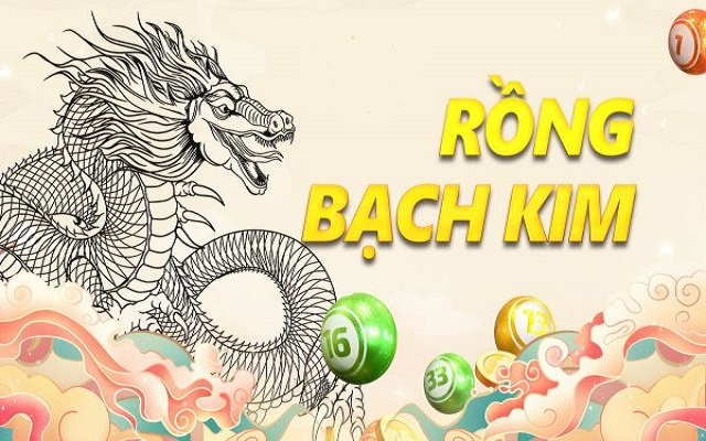 Thông tin sơ lược về Rồng Bạch Kim Thông tin sơ lược về Rồng Bạch Kim
