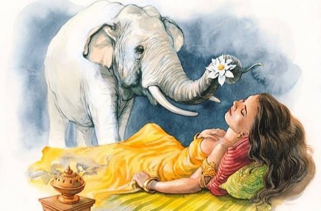 Giải mã giấc mơ thấy voi Giải mã giấc mơ thấy voi