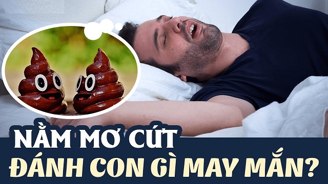 Chiêm bao thấy cứt người chốt đề số mấy trúng? Chiêm bao thấy cứt người chốt đề số mấy trúng?
