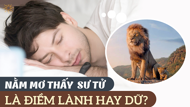 Điềm báo khi mơ thấy sư tử tốt hay xấu? Điềm báo khi mơ thấy sư tử tốt hay xấu?