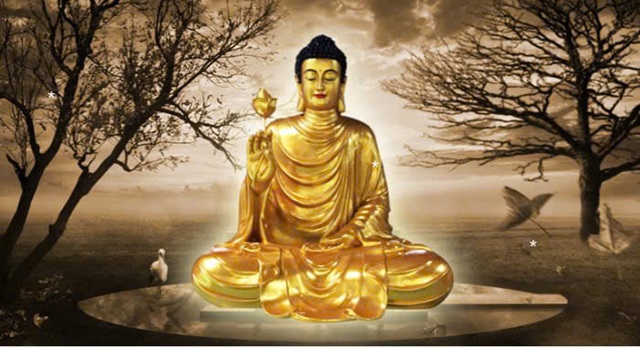 Nằm chiêm bao thấy tượng Phật được đúc bằng vàng rất tốt Nằm chiêm bao thấy tượng Phật được đúc bằng vàng rất tốt