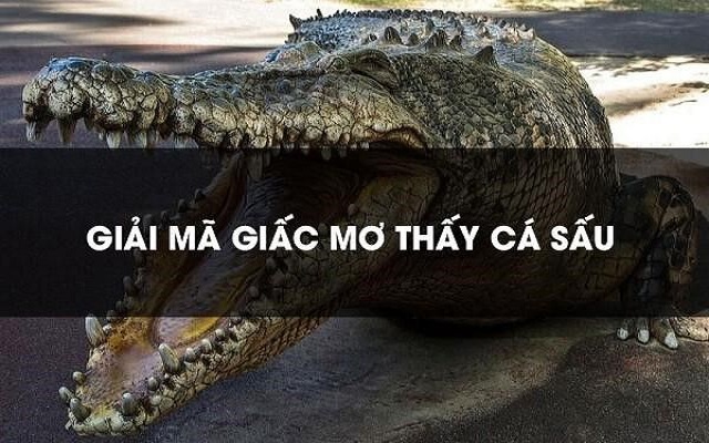 Giấc mơ về cá sấu mang điềm lành Giấc mơ về cá sấu mang điềm lành