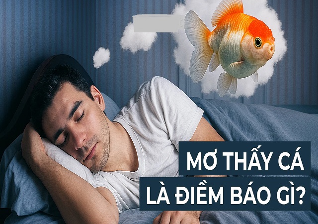 Mơ thấy cá là điềm báo gì Mơ thấy cá là điềm báo gì