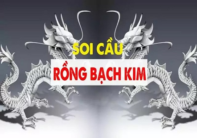 Vì sao kênh soi cầu Rồng Bạch Kim được đánh giá cao Vì sao kênh soi cầu Rồng Bạch Kim được đánh giá cao