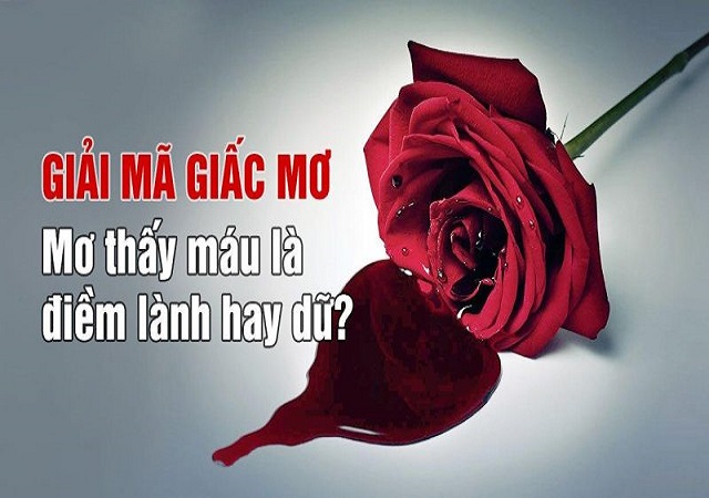 Giải mã giấc mơ thấy máu Giải mã giấc mơ thấy máu