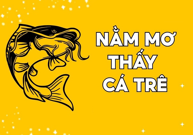Chiêm bao mơ thấy cá trê đánh con gì và thông tin luận giải chi tiết Chiêm bao mơ thấy cá trê đánh con gì và thông tin luận giải chi tiết